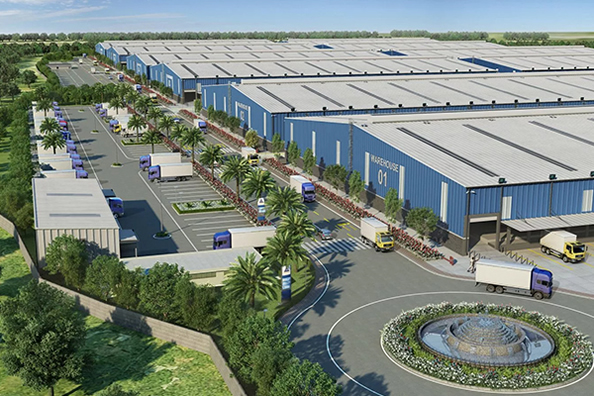 Hainan IQF Frutta Congelata Co.,Ltd