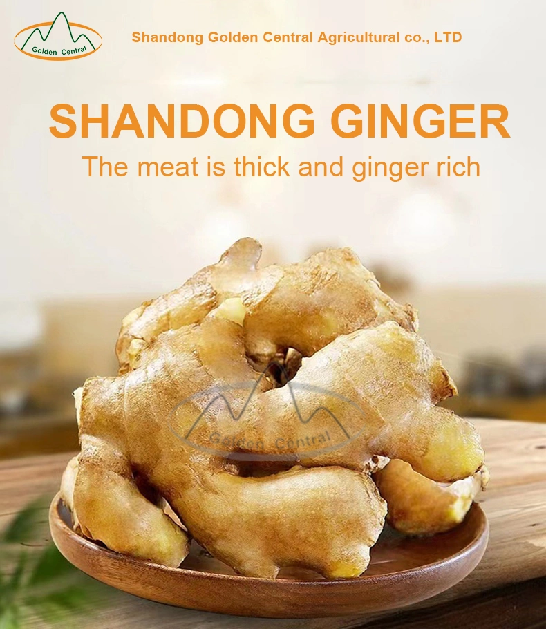 Best Quality New Crop Frozen Fresh Ginger