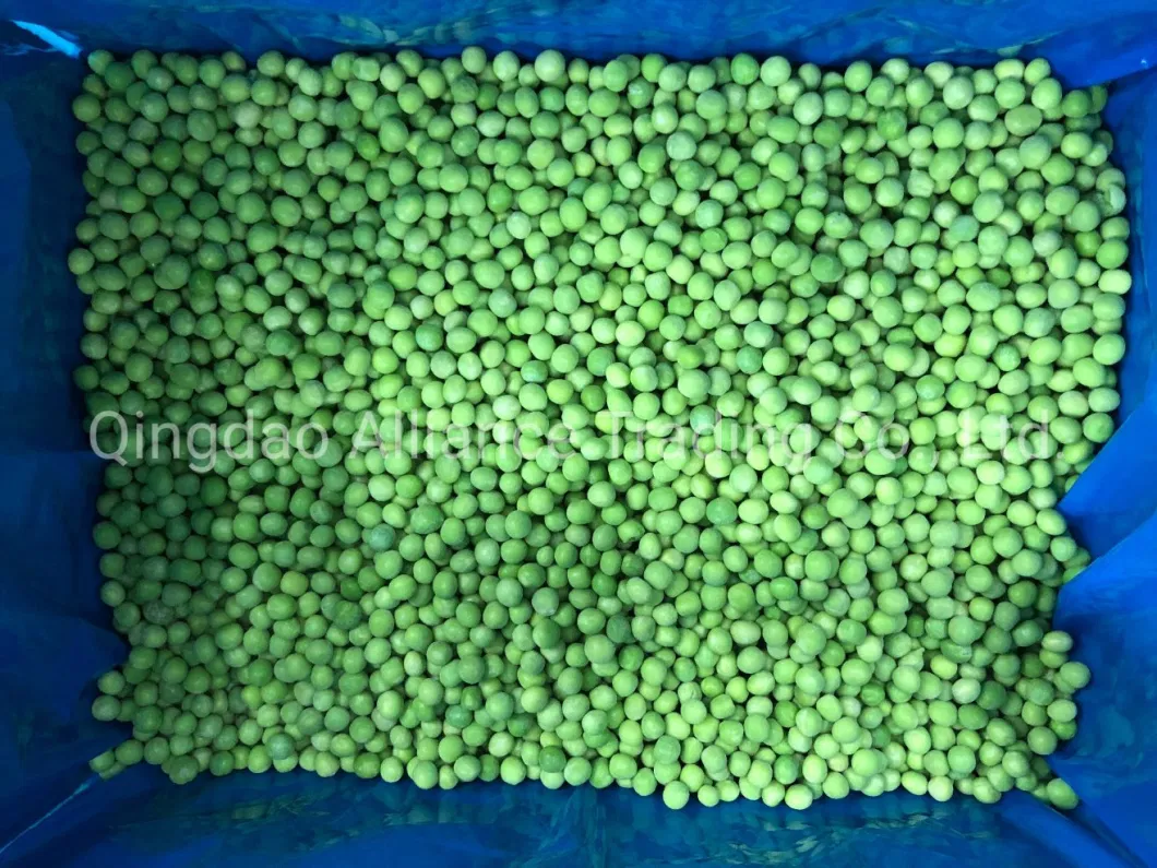 Global Hot Sale Organic Frozen Green Peas IQF Health Snow Pea Frozen Green Garden Peas for Exporting