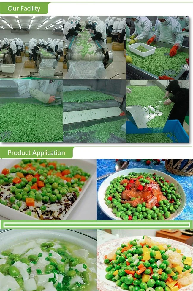 Halal Brc ISO Frozen IQF China Green Beans Green Peas for Salad Breakfast in Bulk Retail Packing with Factory Price