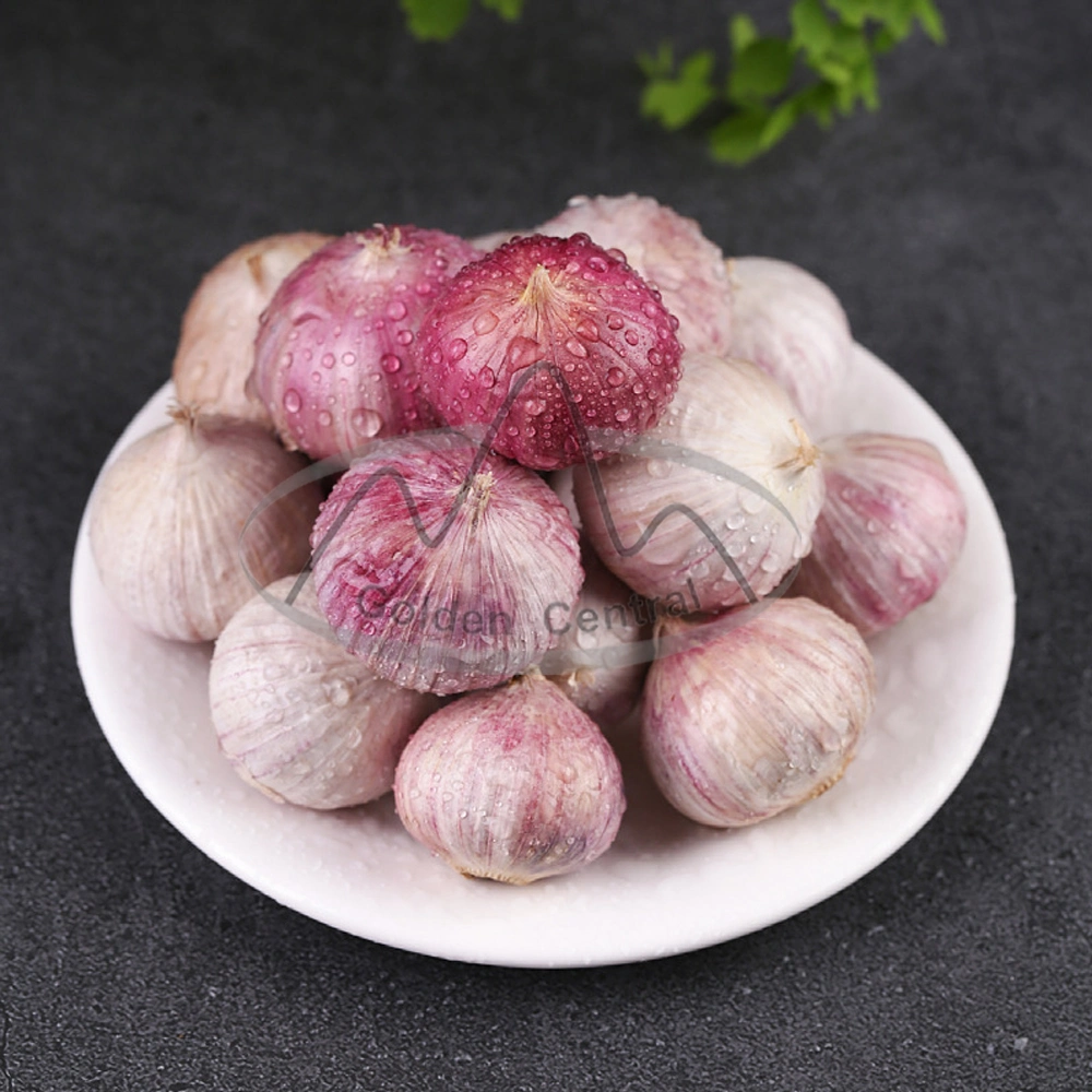 Exporting Garlic Peeled Garlic Frozen Vacuum Packed Peeled Garlic