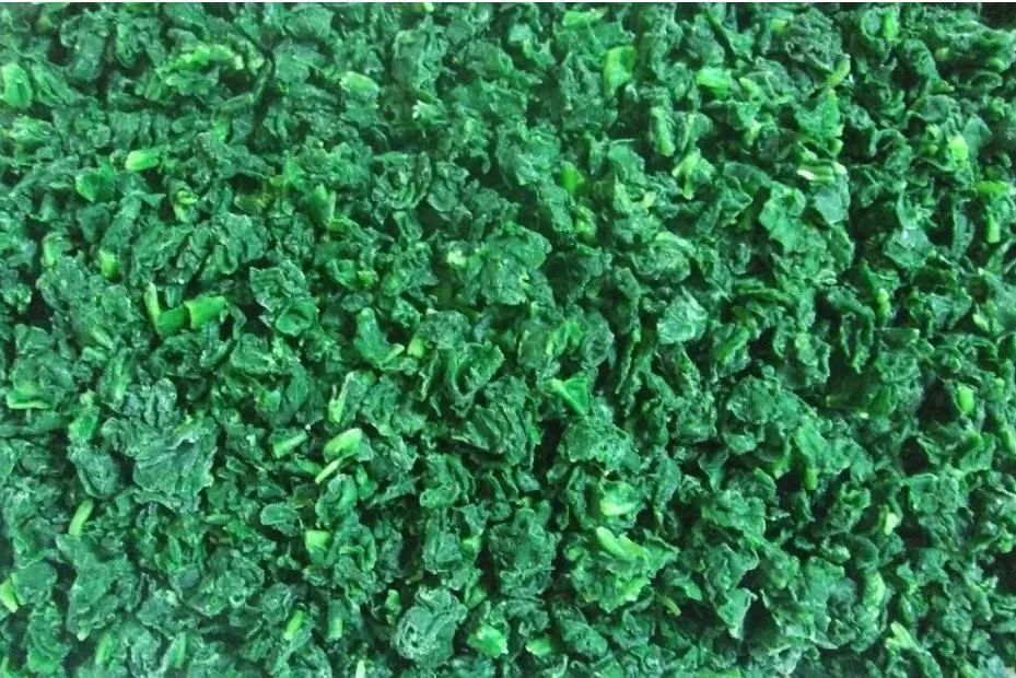 Processed Spinach Cut High Quality IQF Chopped Spinach 3/8", Frozen Vegetable