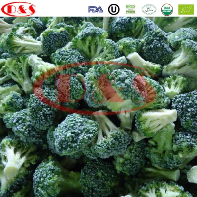 Verdure IQF sfuse per broccoli surgelati e verdure miste