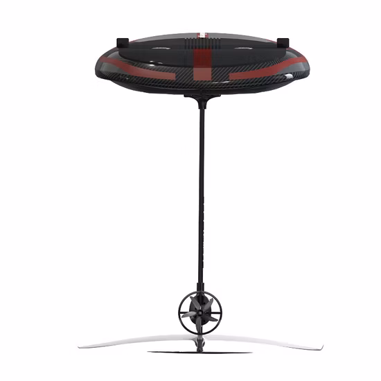 Concessioni sui prezzi/Fornitura diretta dall'origine/Aglio fresco/Aglio congelato/Aglio secco