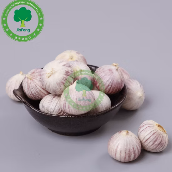 Esporta nuovo raccolto Aglio sbucciato bianco di qualità eccellente Aglio sbucciato congelato